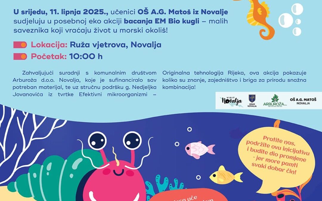 Eko akcija
